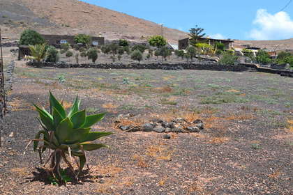 Land huse til salg i Yaiza, Lanzarote. 