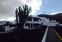 Apartment for sale in Tahiche, Teguise, Lanzarote. 